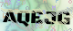 驗證碼