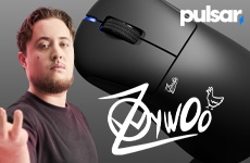 小-Pulsar x ZywOo