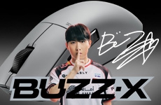 小-Pulsar BUZZ-X