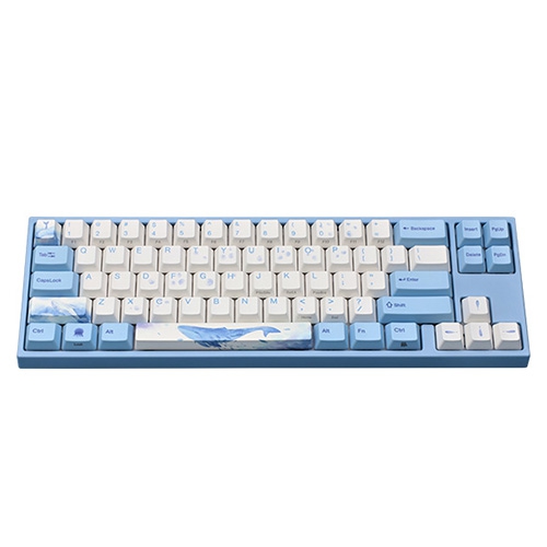 Varmilo-MiyaC-SeaMelody-004