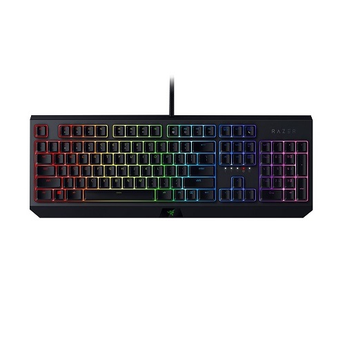 Razer 雷蛇blackwidow 19黑寡婦蜘蛛幻彩版機械式鍵盤綠軸黃軸中文rgb 有線 機械式鍵盤 鍵盤 鍵帽 鍵盤周邊 硬派精璽線上購物網