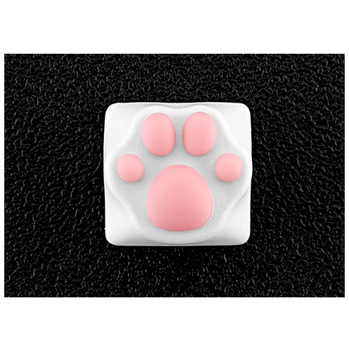 V-ABS-CAT-002