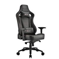 i-Rocks 艾芮克 T02 Plus電競椅 T02PLUS