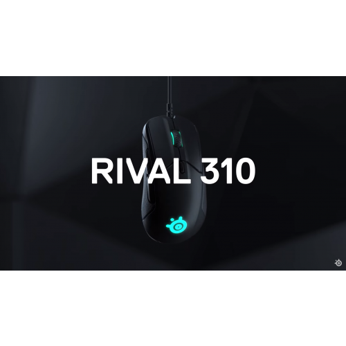 RIVAL310