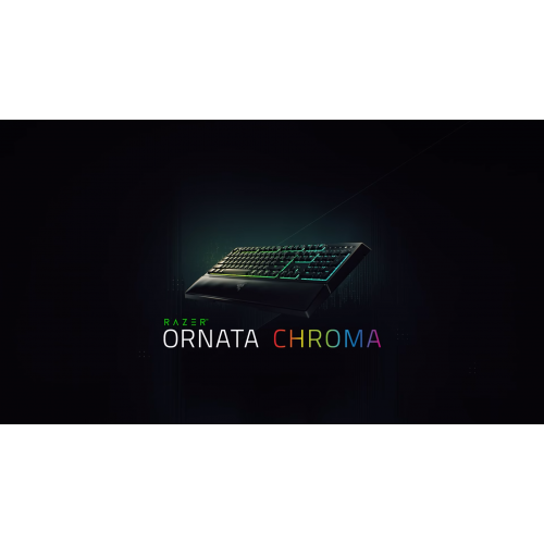 ornata chroma