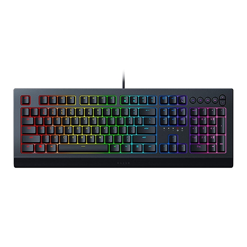 Razer-CynosaV2-001