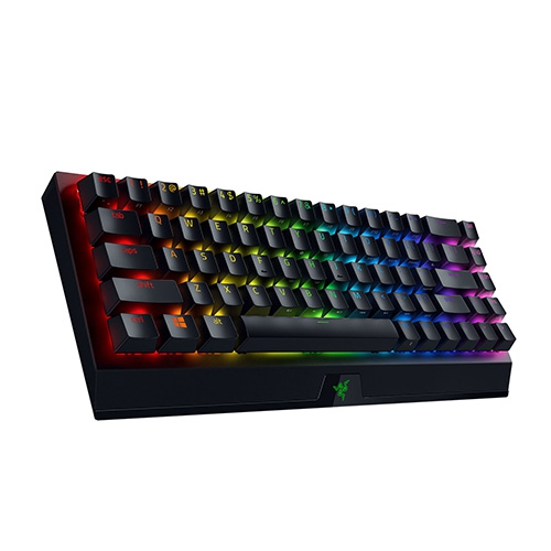 Razer-BlackWidow-V3-Mini-002