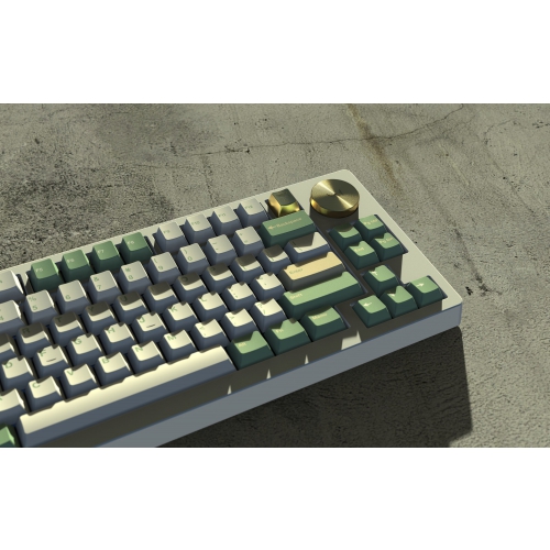 白1