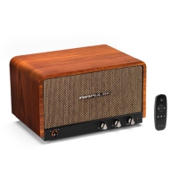 AIRPULSE P100X 藍牙音響喇叭