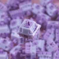 【in-stock】Carol 卡羅爾軸 5腳 線性 57g 無潤 10入