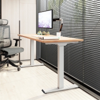 Loctek 樂歌 三段式雙馬達電動升降桌 USB-C+A快充版