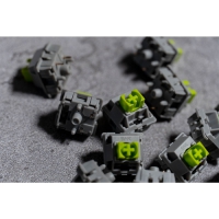 Owlab neon軸 更新版 5腳 線性 62g 廠潤 10入