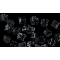 【in-stock】G-Square 黑武士軸V2 5腳 段落 62g 無潤/廠潤 10入