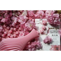 構思者 桃夭軸V2 5腳 線性 63.5g 無潤/廠潤 35入 盒裝