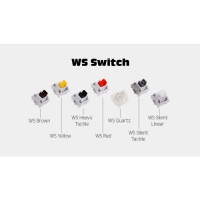 WuqueStudio WS軸 多軸可選 35入 盒裝