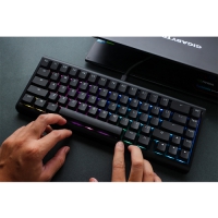 Ducky ProjectD Tinker65 65% RGB套件鍵盤 含軸含鍵帽 英文 中文