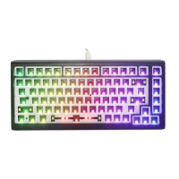 Ducky ProjectD Tinker75 75% RGB鍵盤套件(無軸無鍵帽)