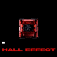 GEONWORKS Raptor HE 磁力軸 線性52g廠潤 10入