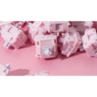 Chilkey Lotus Pink 藕荷軸 5腳 線性 60g 廠潤 盒裝35入