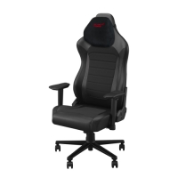 ASUS 華碩 ROG Aethon SL201 電競椅 EPU版本