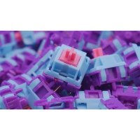 Moyu.studio 主旋律V2軸 5腳 段落 60g 廠潤 10入