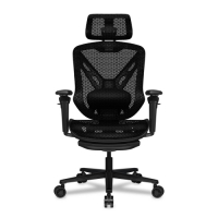 Cougar 美洲獅 Speeder人體工學電競椅 黑色