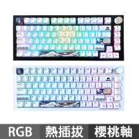 KBParadise V75 RGB 巨浪 75%機械式鍵盤 Cherry櫻桃 中文 英文