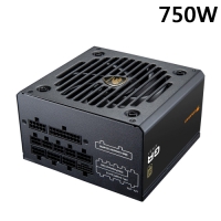 Cougar 美洲獅 GR 750W 電源供應器 金牌 ATX 3.1