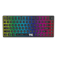 Arbiter Studio Polar 75+ 75% 磁軸鍵盤 雪狐黑