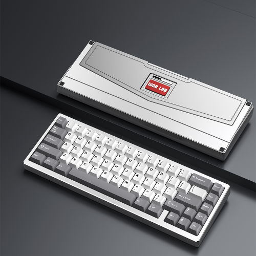 LZ65Sil
