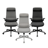 Cougar 美洲獅 Stryder 人體工學椅 黑色/灰色/白色