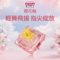 CHERRY 櫻桃 MX2A RGB 櫻花軸體罐 廠潤 5腳 35入