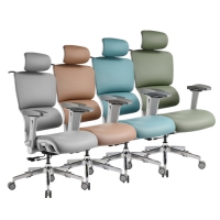 i-Rocks 艾芮克 T07 EVO 人體工學椅 水盾革