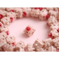 CHERRY 櫻桃 MX2A 花瓣軸 廠潤 5腳 10入