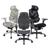 ThunderX3 FLEX PRO人體工學辦公椅 電競椅 TX3