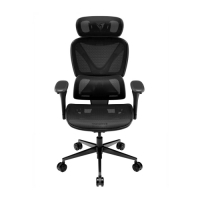 ThunderX3 XTC Pro 360 人體工學電競椅 TX3