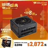 Cougar 美洲獅 GEX PRO 850電源供應器 850W 金牌 ATX3.1