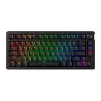 HyperX Alloy Rise RGB 75 Wireless 無線三模機械式鍵盤 中文英文