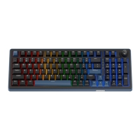 Ducky OK-M 98%三模機械式鍵盤 KTT baby段落軸 中文 OKM