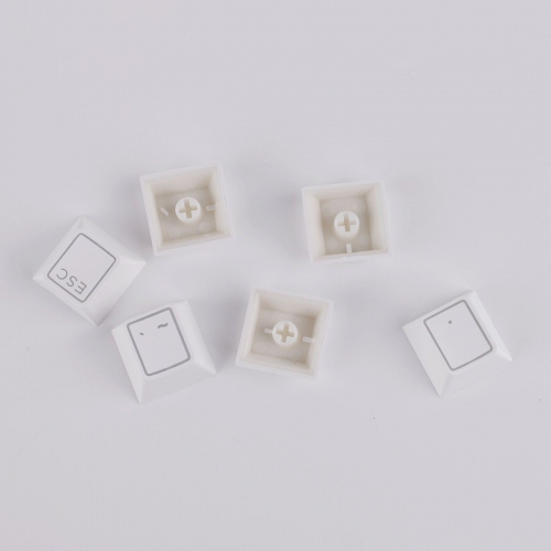 000579000006-006