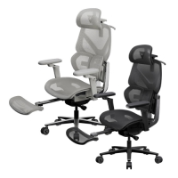 ThunderX3 FLEX Pro Footrest 人體工學辦公椅 網椅 電競椅 TX3