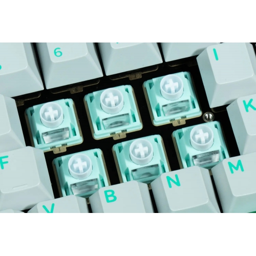 Gateron-Jade-Silent-HE-Switch-a13