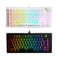 Glorious GMMK 3 75% Prebuilt 有線機械鍵盤 英文 Fox狐狸線性軸